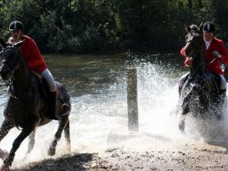 546524_10151090370123585_1024977968_n